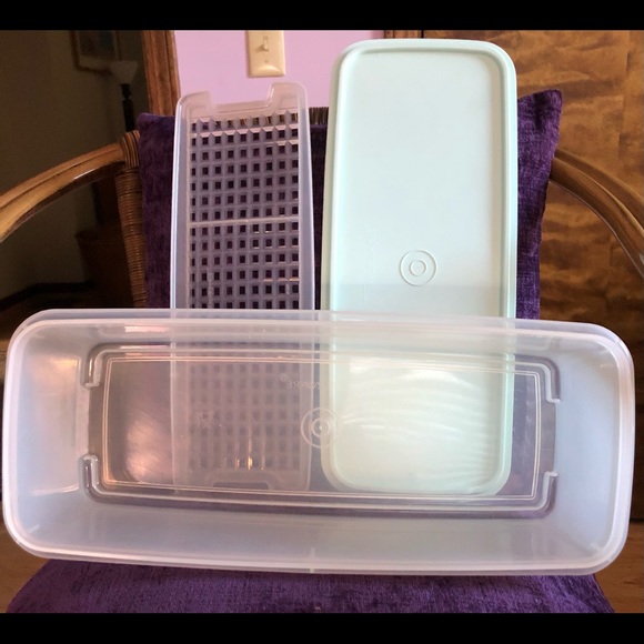 Tupperware Large Easy Crisp Celery Keeper - Picture 3 of 4